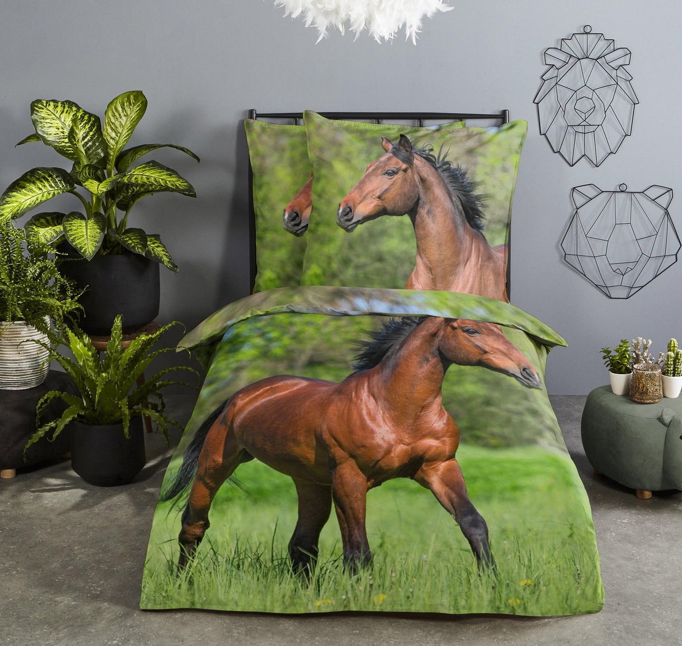 JACK Bettwäsche 135x200cm, Pferde Stolz, Renforcé, 2 teilig, im sonnigen Frühlingsdesign – Bild 2 von 5