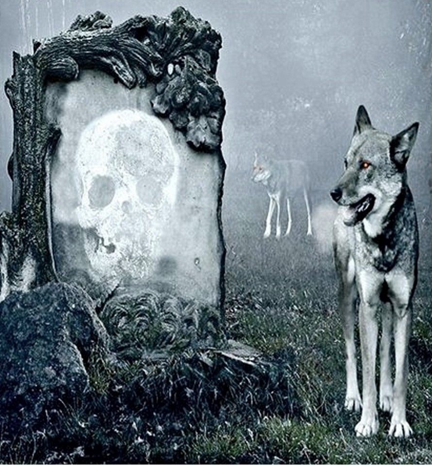 JACK Bettwäsche Microfaser Bettwäsche 135x200cm Wolf Guard Tier Fantasy Totenkopf Grau, Microfaser, 2 teilig, fotorealistischer Print Druck, Mystisch und geheim – Bild 3 von 5