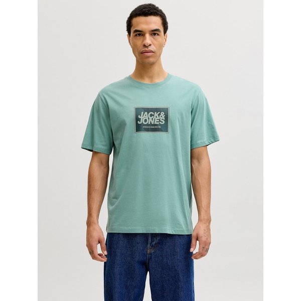 Jack & Jones Rundhalsshirt JJRAIN TEE SS CREW NECK