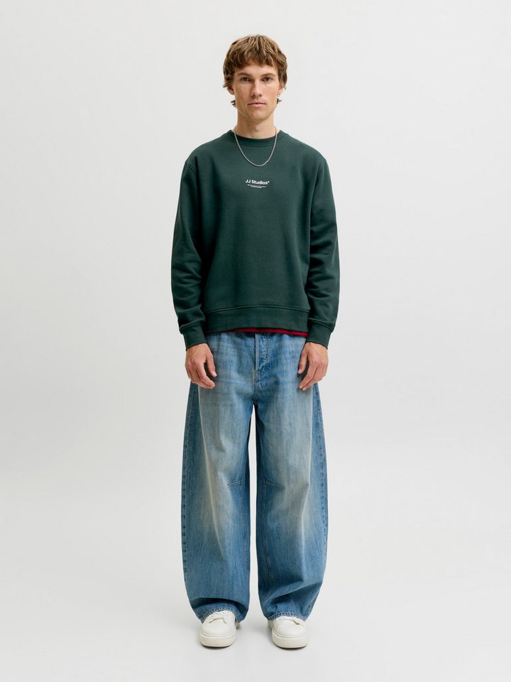 Jack & Jones Sweatshirt JJESOHO SWEAT CREW NECK NOOS Baumwollmischung, relaxed fit – Bild 4 von 5