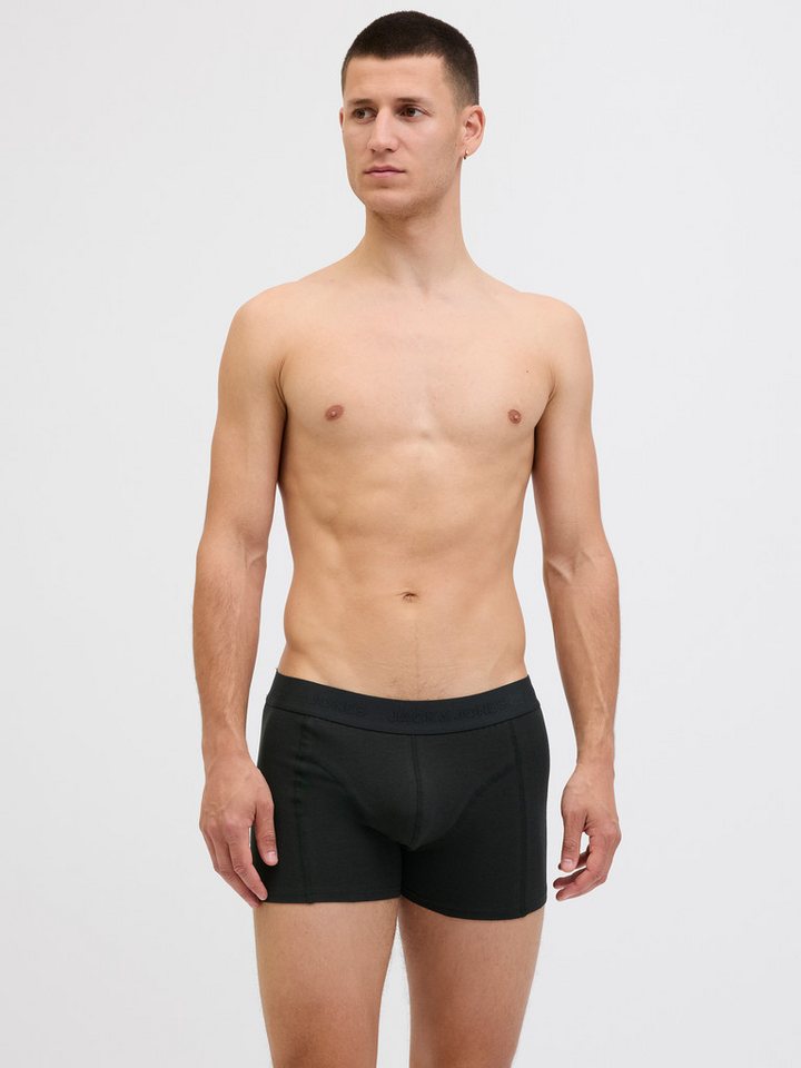 Jack & Jones Trunk JACORDINARY TRUNKS 3 PACK NOOS (Packung, 3-St) – Bild 3 von 5