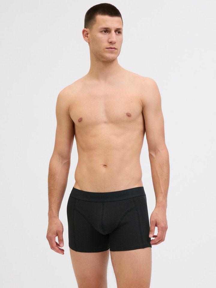 Jack & Jones Trunk JACORDINARY TRUNKS 3 PACK NOOS (Packung, 3-St) – Bild 3 von 5