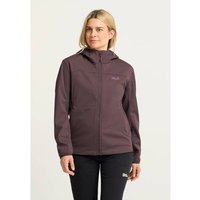 Jack Wolfskin Softshelljacke WINDHAIN 2 HOODY W wasserabweisend, windabweisend, wärmeisolierend