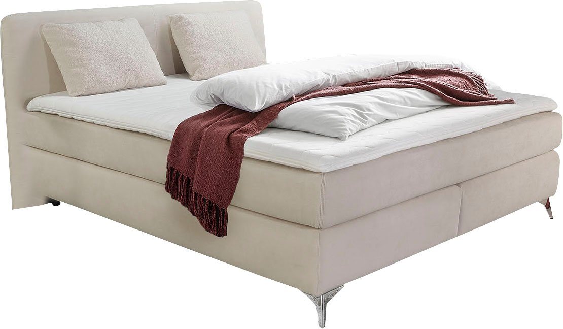 Jockenhöfer Gruppe Boxspringbett ELFIE inkl. Bonnell- oder TTFK-Matratze H2-H4, mit 6 cm Topper, Luxus-Microfaser-Bezug, 90/140/180 cm x 200 cm – Bild 2 von 5