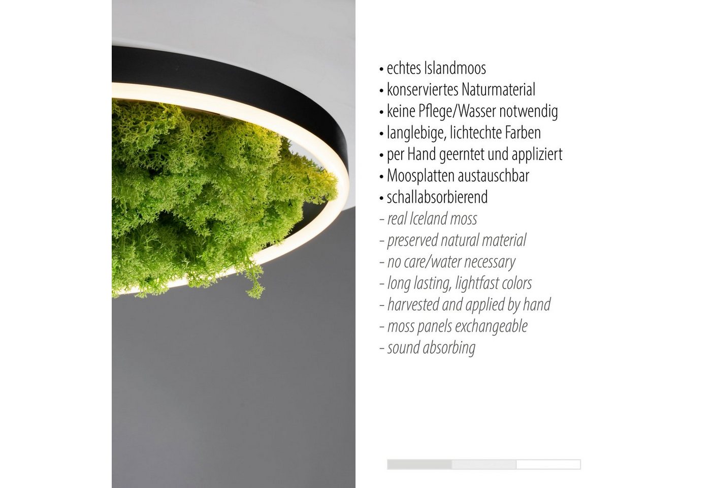 JUST LIGHT Deckenleuchte GREEN RITU, LED fest integriert, Warmweiß – Bild 5 von 5