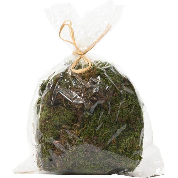 Kaemingk Bastelnaturmaterial, Moos Natur zum Basteln und Dekorieren 80g grün