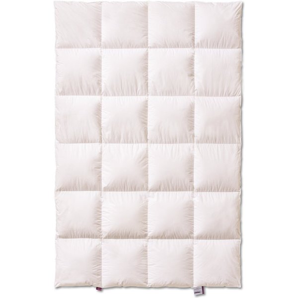 Kauffmann Daunenbettdecke Superior - Extra Warm, Daunenbettdecke mit 2cm Innen- und Außensteg, Füllung: 100% Daunen, Bezug: 100% Baumwolle, Extra warm für kalte
