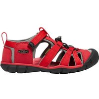 racing red/gargoyle (Junior)