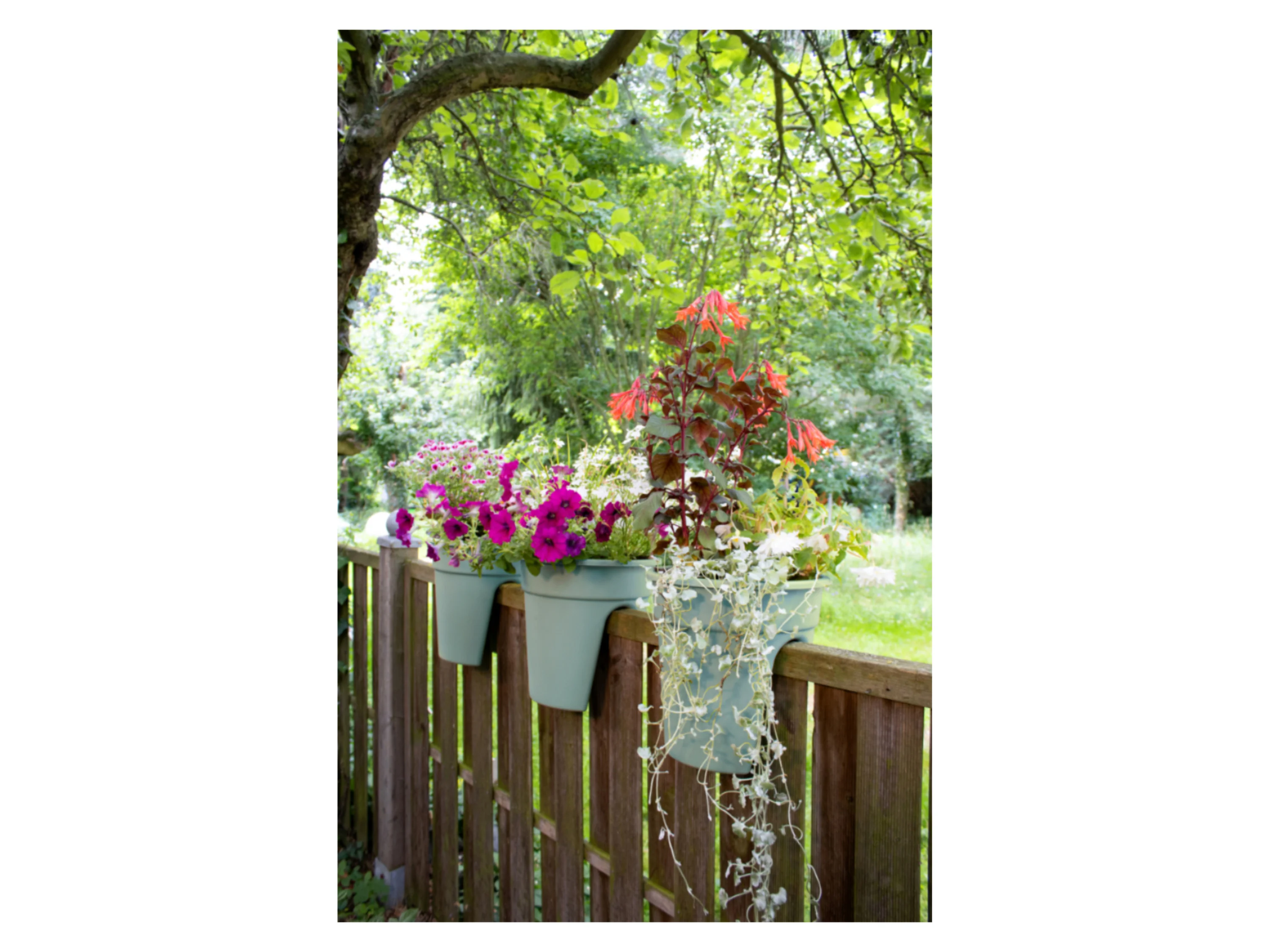KHW Balkonkasten »Flowerclip«, 3er Set (pastellmintgrün) – Bild 2 von 4