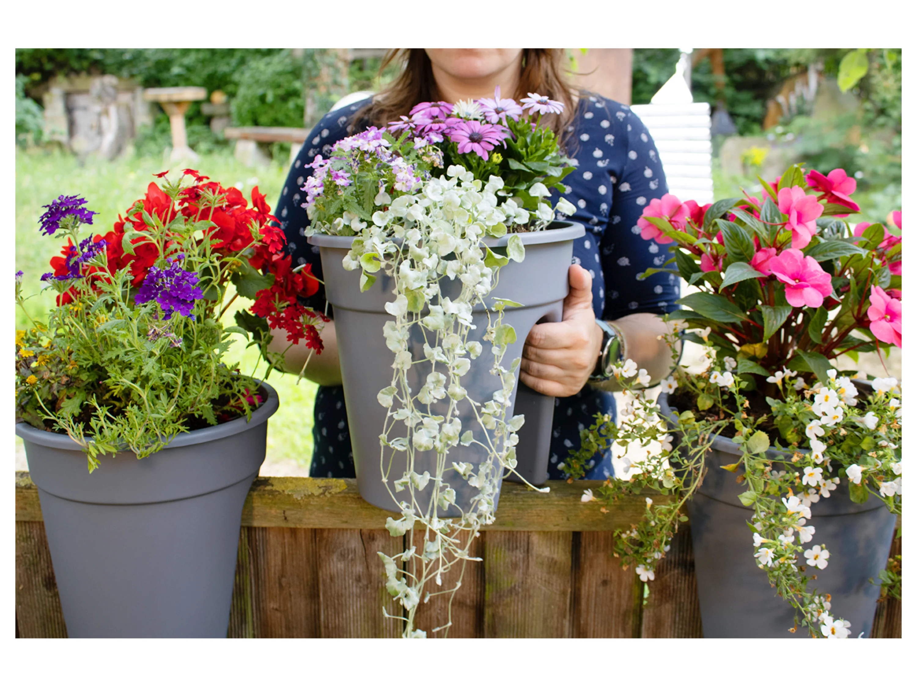 KHW Balkonkasten »Flowerclip«, 3er Set (Grau) – Bild 2 von 4