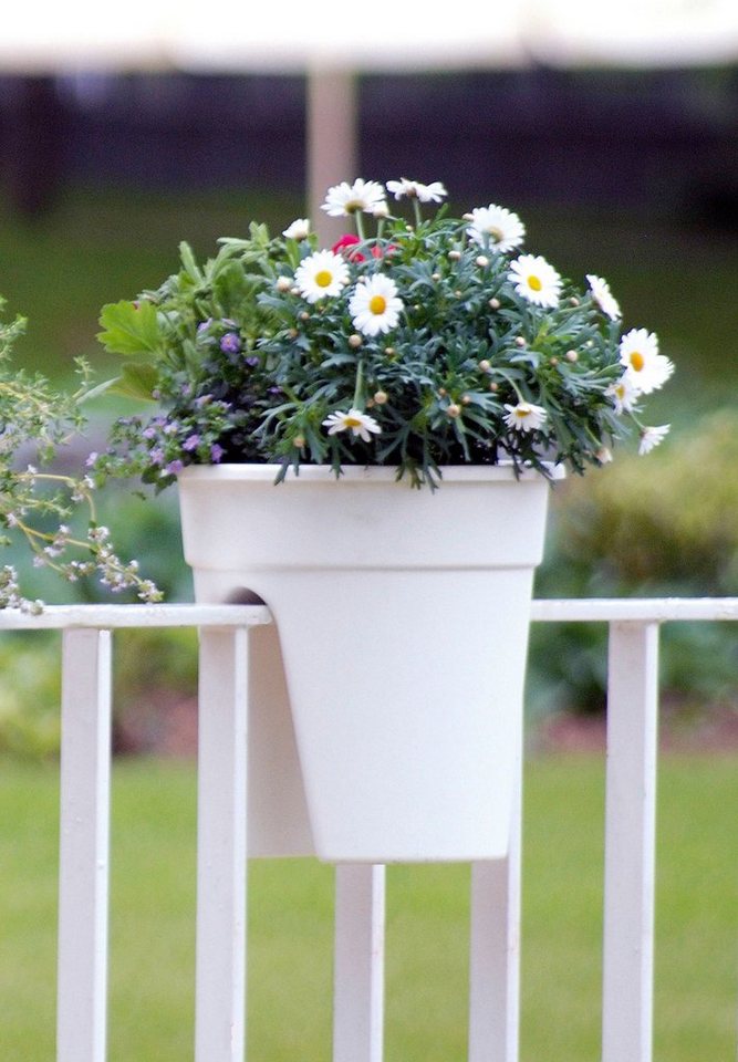 KHW Balkonkasten Flowerclip (Set, 3 St), ØxH: 27x27,5 cm – Bild 3 von 5