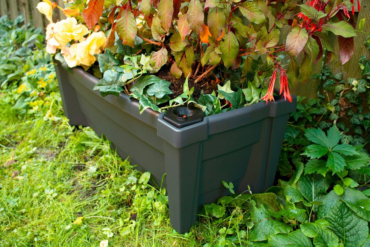 KHW Pflanzkübel, Pflanzkasten auf Rollen mit Bewässerungssystem, BxTxH: 79x35x33 cm – Bild 5 von 5