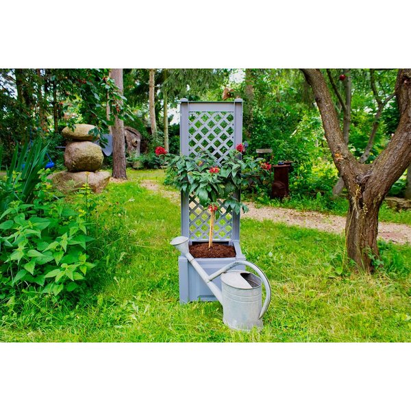 KHW Spalier, mit Pflanzkasten, BxTxH: 43x43x140 cm