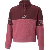 PUMA Kinder Sweatshirt Puma Power Winterized Half, Größe 104 in Lila