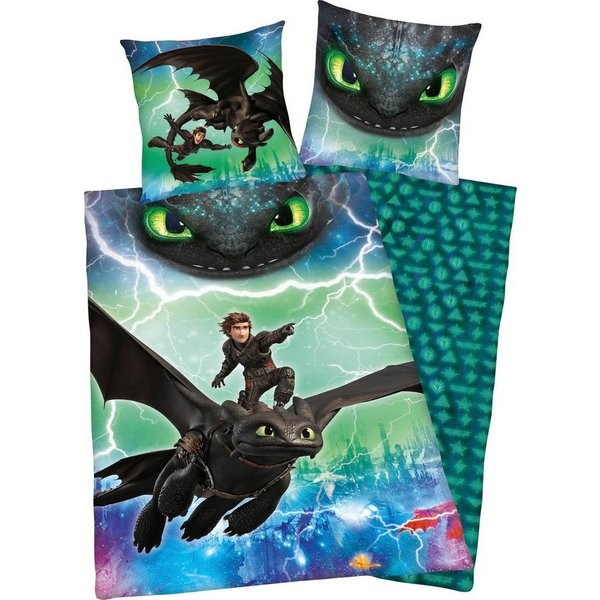 Kinderbettwäsche Dragons Abenteuer, Renforcé, 2 teilig, mit Glow in the Dark Effekt
