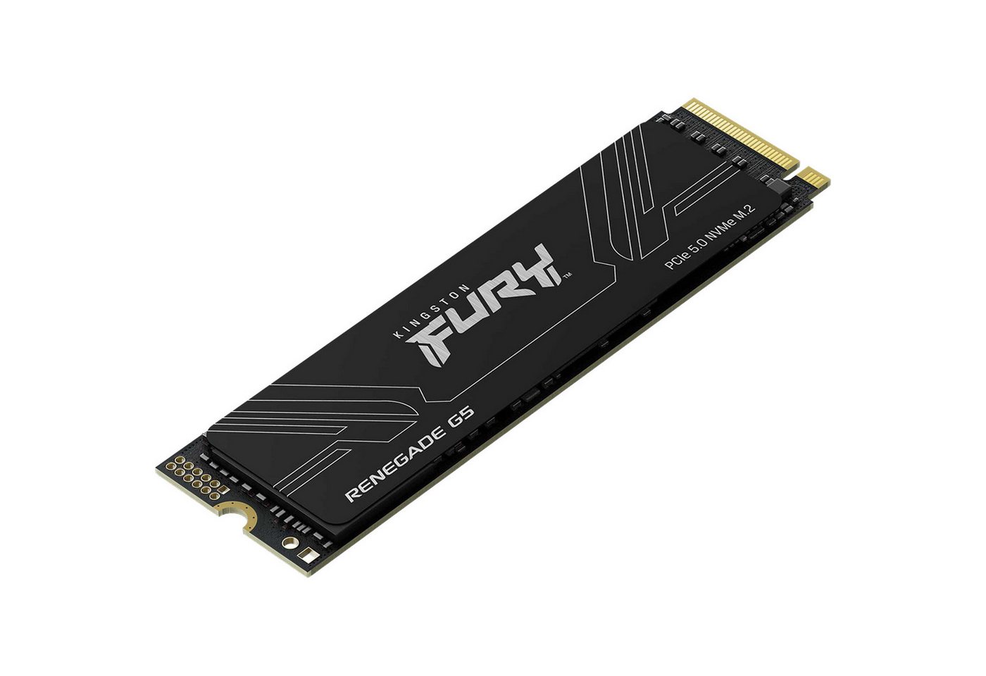 Kingston Technology FURY Renegade G5 – Bild 2 von 2