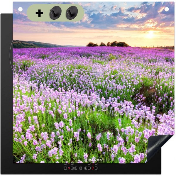 KitchenYeah Küchenrückwand Lavendel - Blumen - Lila - Blumenfeld, (1-tlg), Kochfeld Abdeckung Ceranfeld, Induktionsschutzmatte, 58x59 cm