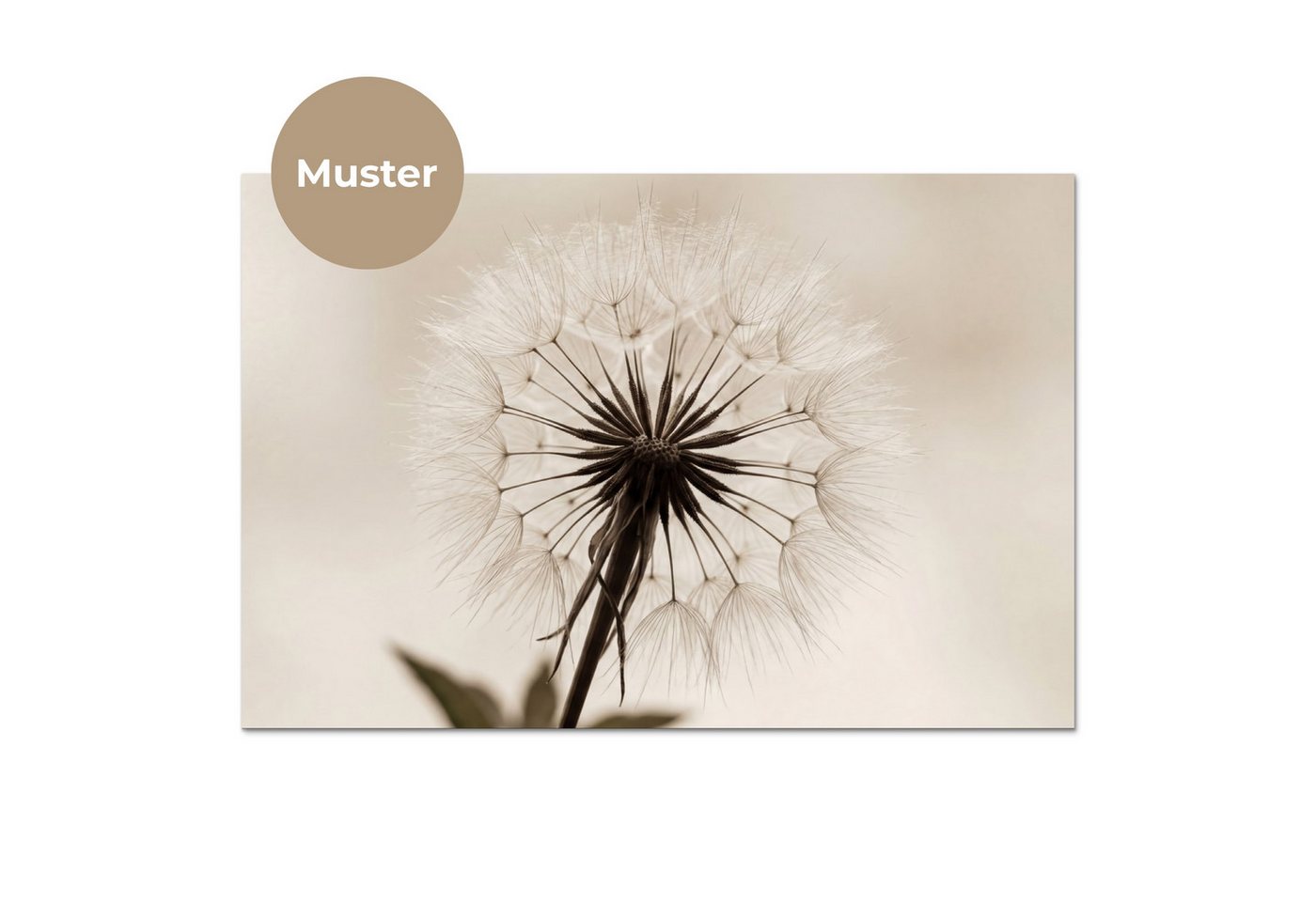 KitchenYeah Küchenrückwand Muster selbstklebend (keine Folie) Pusteblume - Minimalistisch - Weiß, (1-tlg), Spritzschutz, Küche, Rückwand, Küchenwand, Küchenfron – Bild 3 von 4