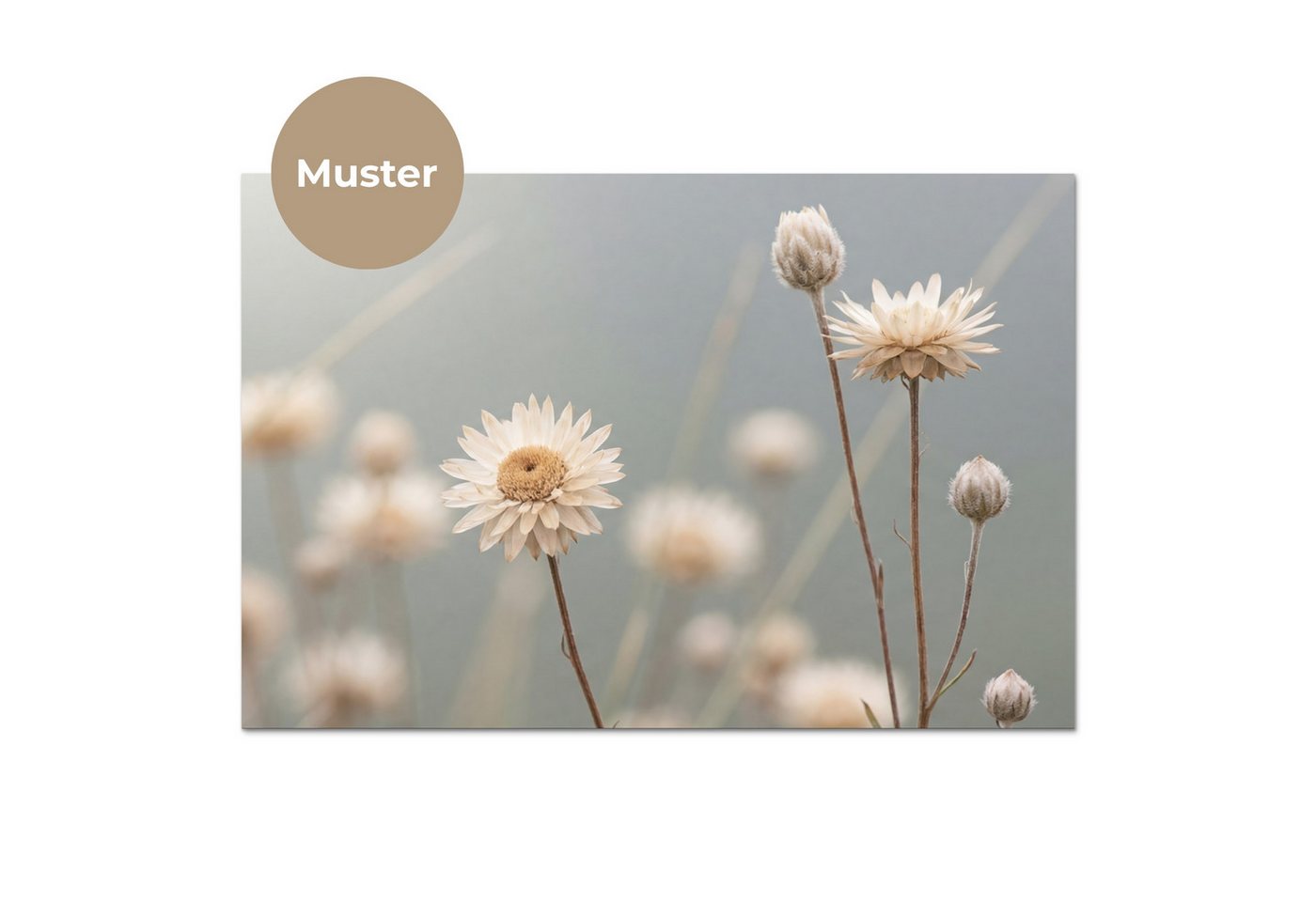KitchenYeah Küchenrückwand Muster selbstklebend (keine Folie) Strohblumen - Weiß - Tageslicht, (1-tlg), Spritzschutz, Küche, Rückwand, Küchenwand, Küchenfront,  – Bild 3 von 4