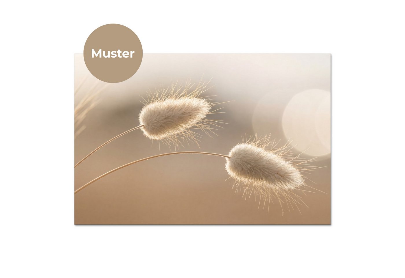 KitchenYeah Küchenrückwand Muster selbstklebend (keine Folie) Dunstschwanzgras - Grannenhaare - S, (1-tlg), Spritzschutz, Küche, Rückwand, Küchenwand, Küchenfro – Bild 3 von 4