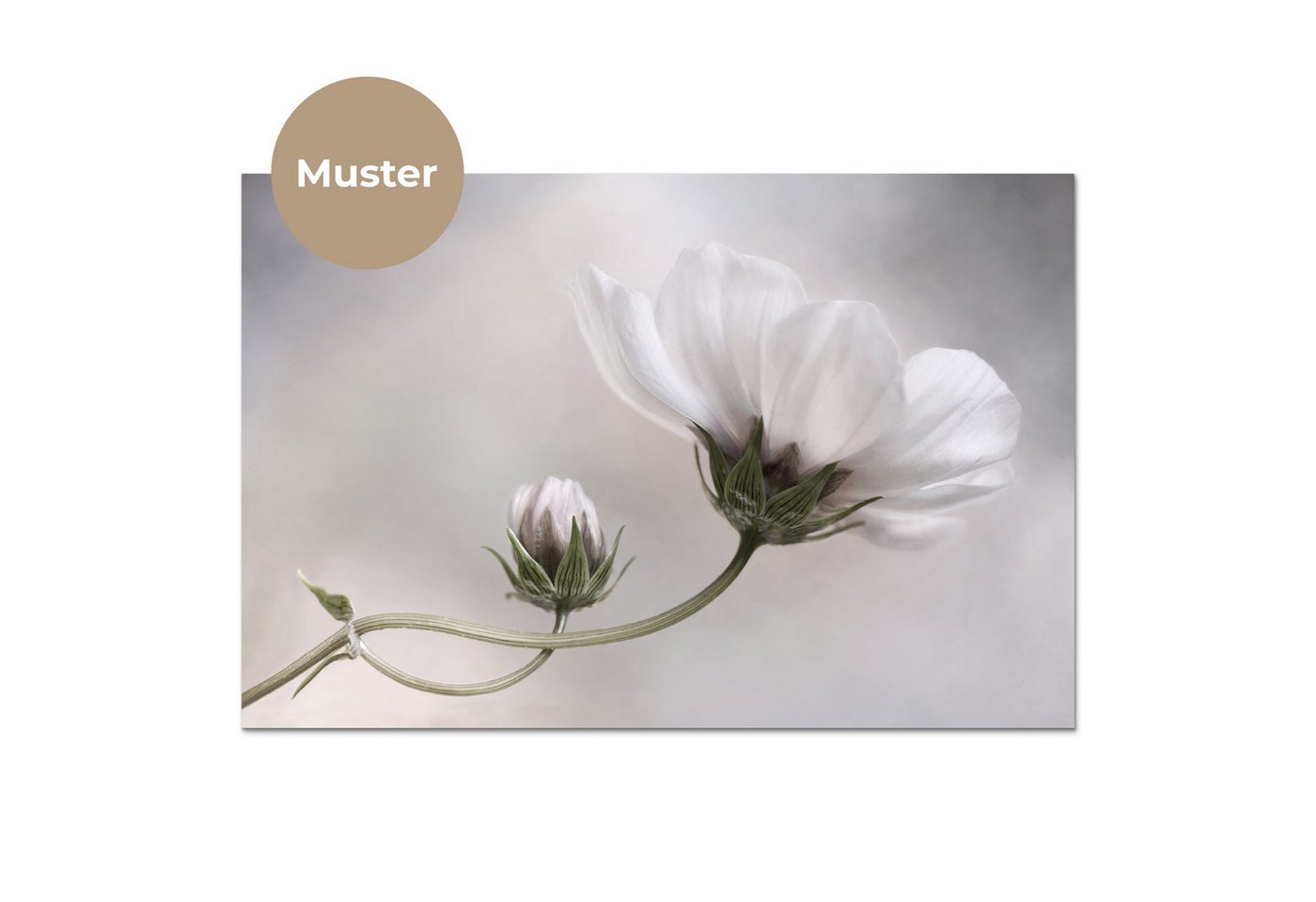 KitchenYeah Küchenrückwand Muster selbstklebend (keine Folie) Blumen - Stillleben - Natur - Grau, (1-tlg), Spritzschutz, Küche, Rückwand, Küchenwand, Küchenfron – Bild 3 von 4