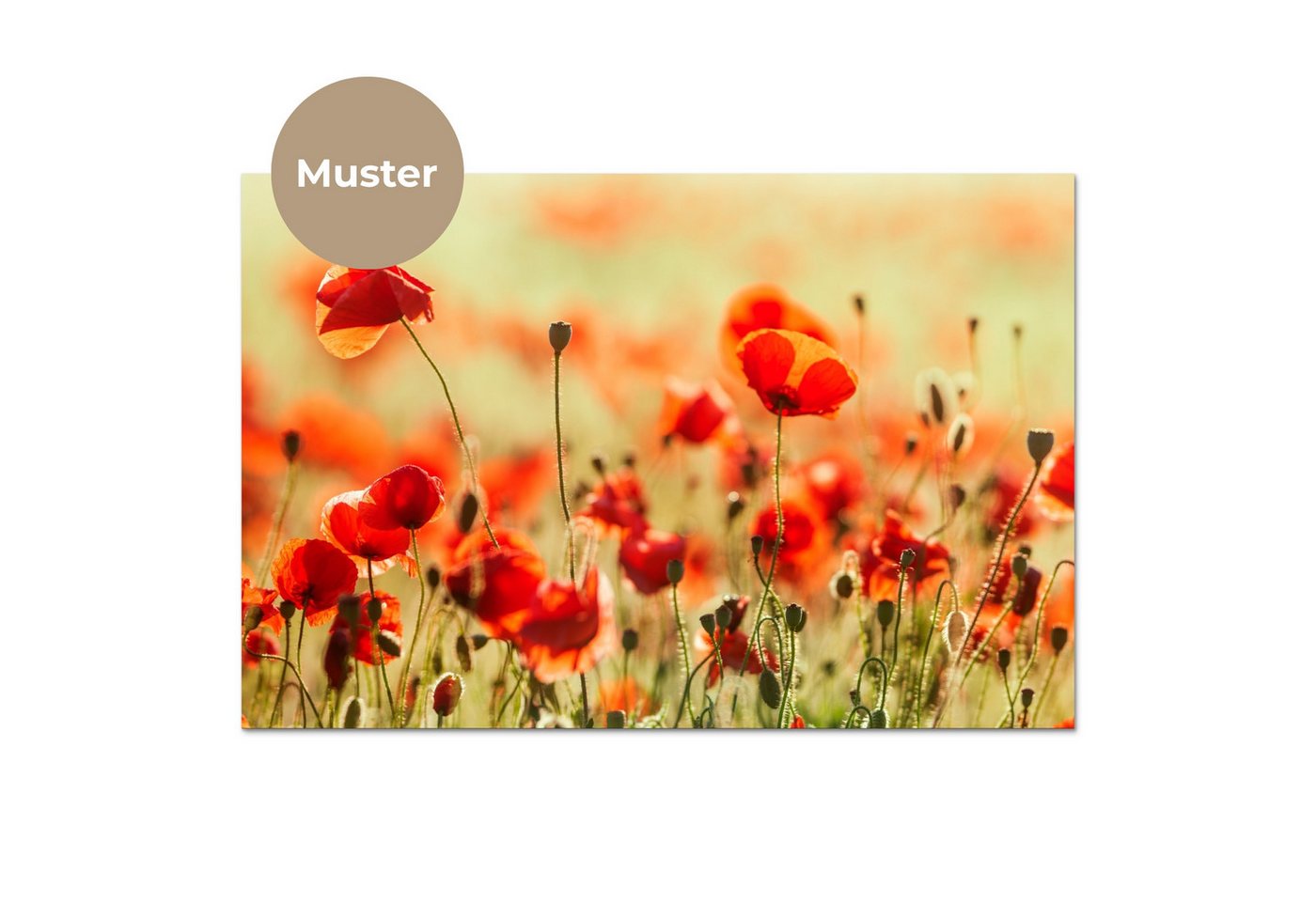 KitchenYeah Küchenrückwand Muster selbstklebend (keine Folie) Mohnblumen - Blumen - Rot - Blumenf, (1-tlg), Spritzschutz, Küche, Rückwand, Küchenwand, Küchenfro – Bild 3 von 4