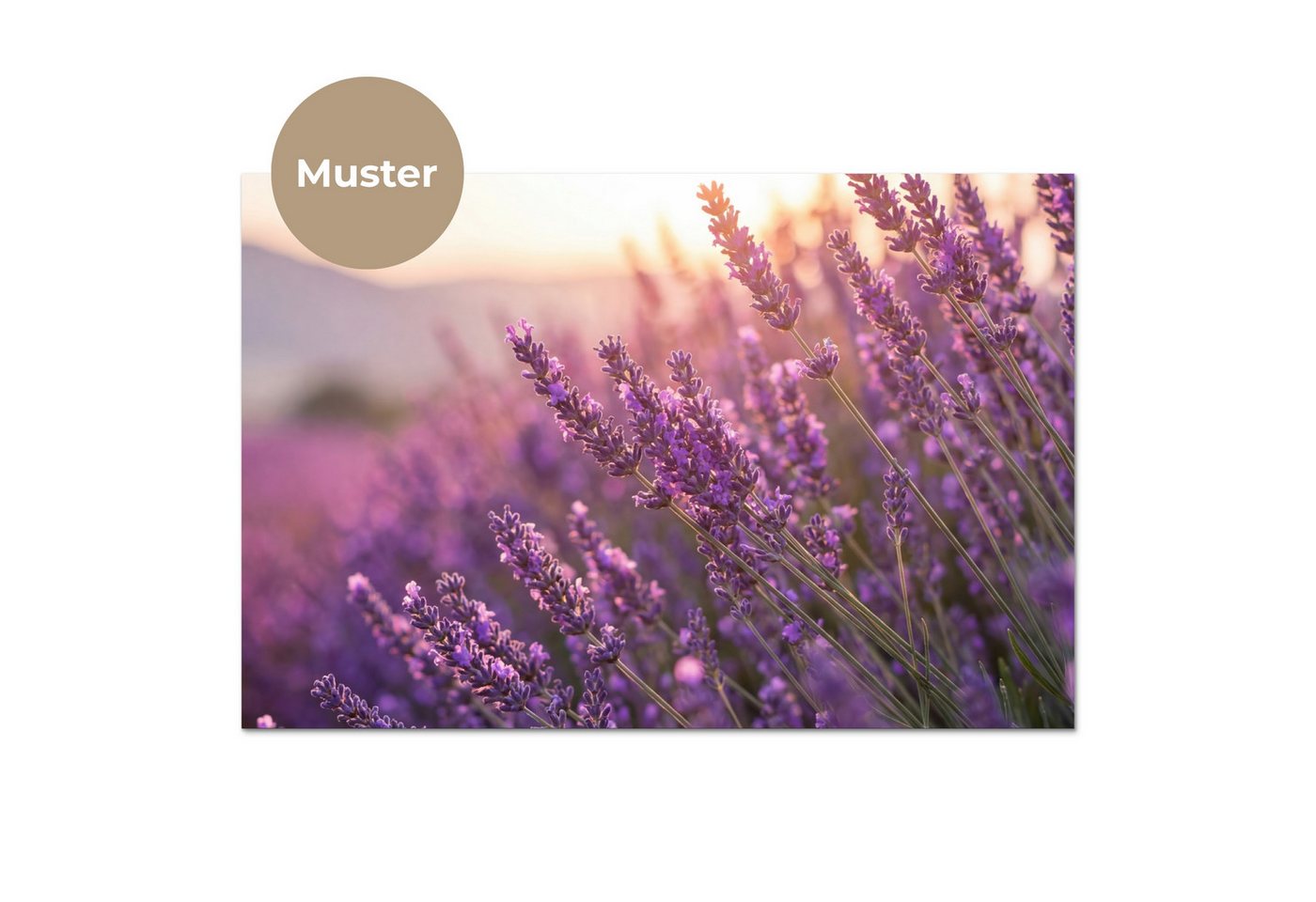 KitchenYeah Küchenrückwand Muster selbstklebend (keine Folie) Lavendel - Lila - Sonnenlicht, (1-tlg), Spritzschutz, Küche, Rückwand, Küchenwand, Küchenfront, 30 – Bild 3 von 4