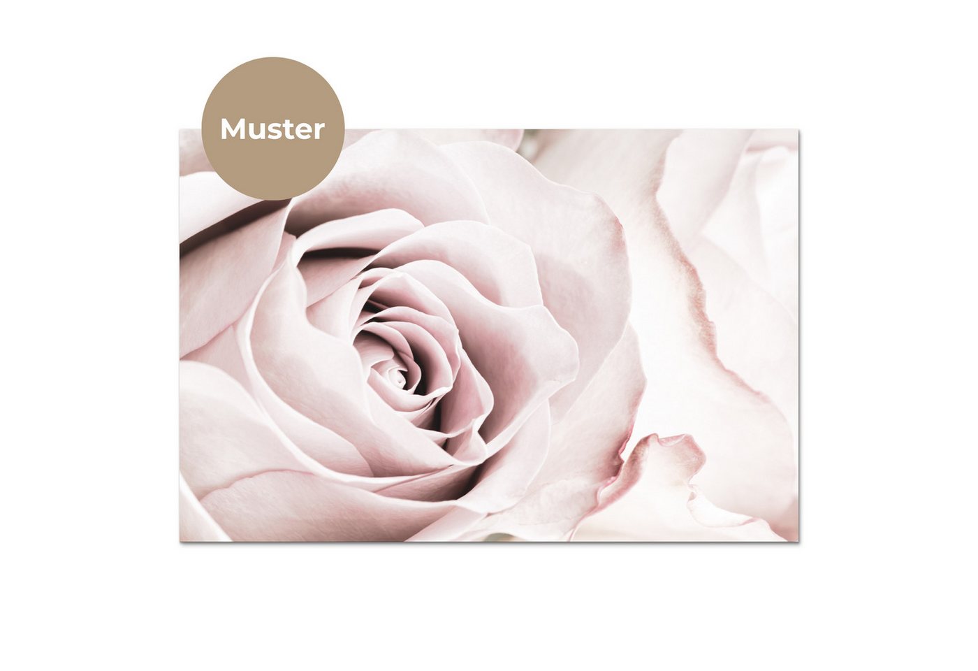 KitchenYeah Küchenrückwand Muster selbstklebend (keine Folie) Blumen - Rose - Rosa - Botanisch, (1-tlg), Spritzschutz, Küche, Rückwand, Küchenwand, Küchenfront, – Bild 3 von 4