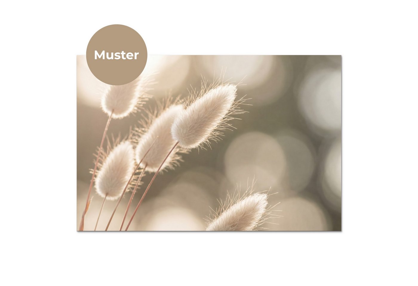 KitchenYeah Küchenrückwand Muster selbstklebend (keine Folie) Haselschwanzgras - Weiß - Sonnenlic, (1-tlg), Spritzschutz, Küche, Rückwand, Küchenwand, Küchenfro – Bild 3 von 4
