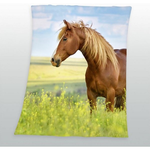 Wohndecke Pferde Fleecedecke Kuscheldecke mit Pferd 130 x 160 cm, KK Shopping, Langlebig