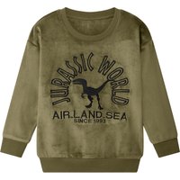 Kleinkinder Jungen Pullover Plüsch (Jurassic World, 98/104)
