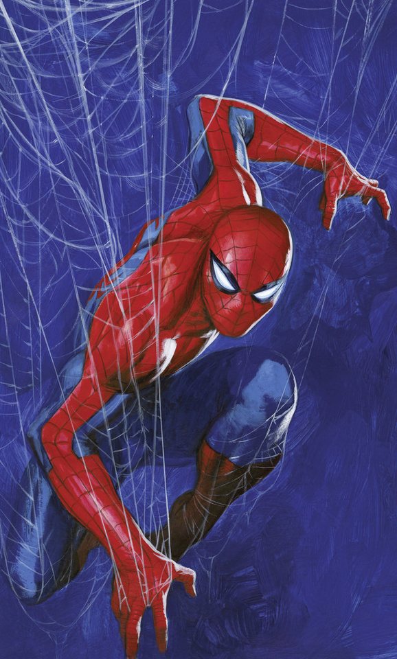 Komar Kindertapete Marvel Spider-Man Spider Web, glatt, bedruckt, (Packung, 1 St) – Bild 2 von 5