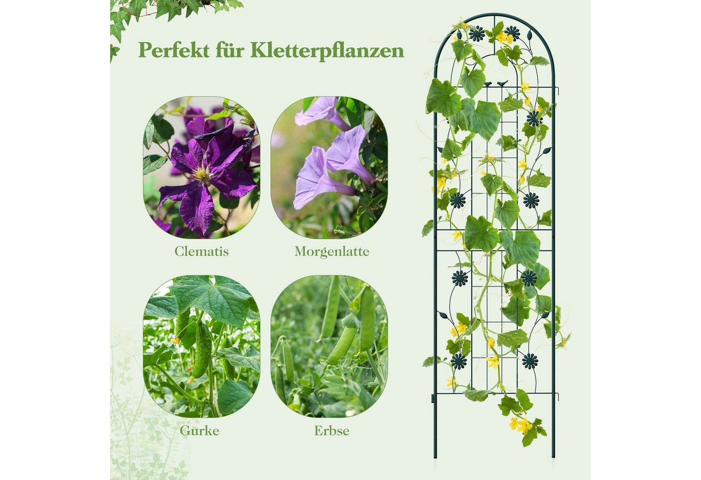 KOMFOTTEU Gartenzaun Sichtschutz Ranknetz, (4-St), aus Metall, Rankhilfe 180/220cm hoch – Bild 3 von 5