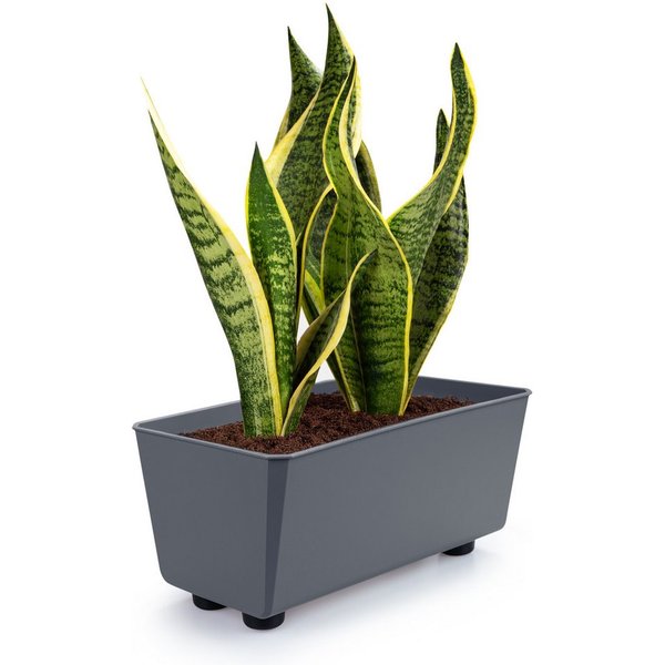 KONZEPT Blumenkasten Blumentöpfe mit Füßen, rechteckig – kleine Blumenkästen 4,2 L (1 St), 284x168x173 mm, ideal für Fensterbank & Zimmerpflanzen