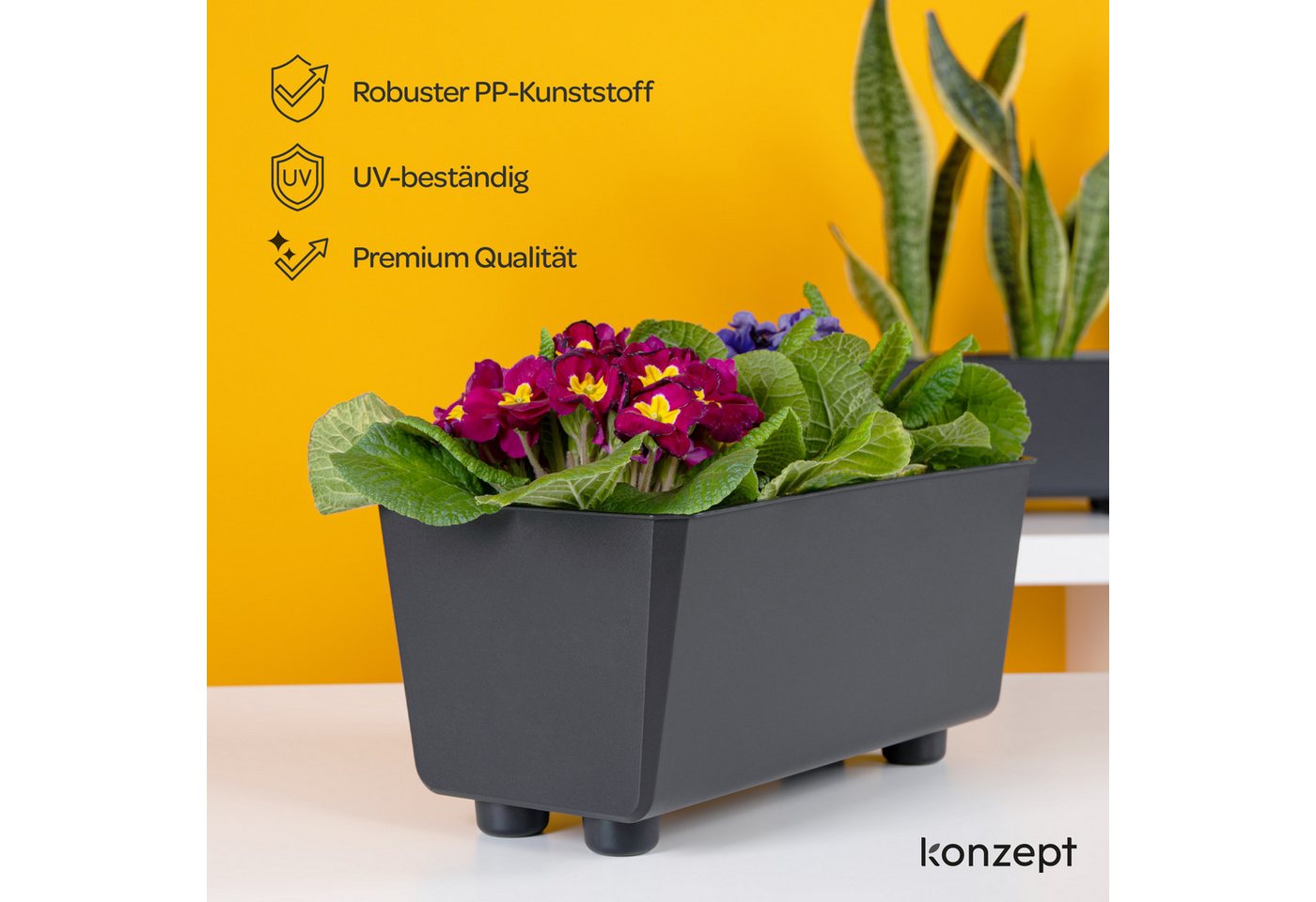 KONZEPT Blumenkasten Blumentöpfe mit Füßen, rechteckig – kleine Blumenkästen 4,2 L (1 St), 284x168x173 mm, ideal für Fensterbank & Zimmerpflanzen – Bild 4 von 5