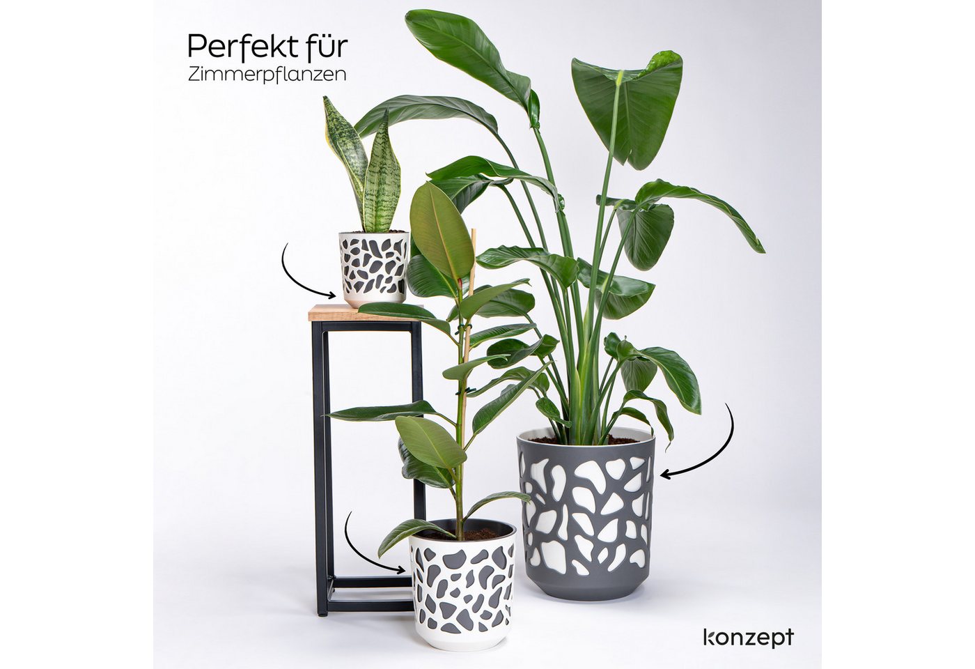 KONZEPT Blumentopf 3er Set Blumentopf klein, Übertopf Ø 14cm, Pflanzentopf für Zimmerpflanzen aus Plastik – Bild 5 von 5