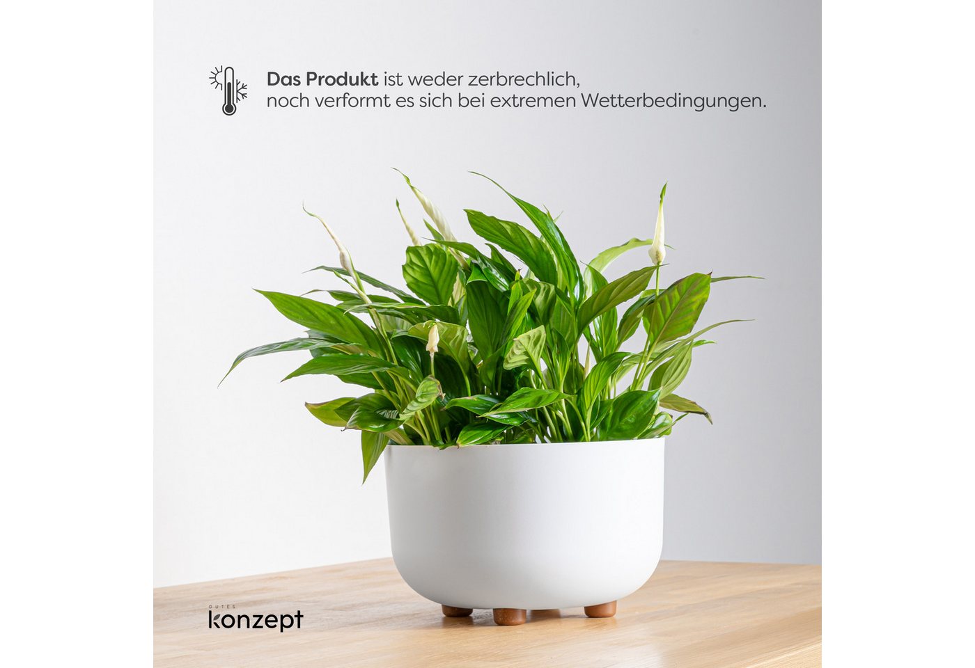 KONZEPT Blumentopf mit Füßen Ø 27 cm, für innen & außen, Mit abnehmbaren Füßen. Für Kräuter, Blumen und kompakte Grünpflanzen. – Bild 4 von 5