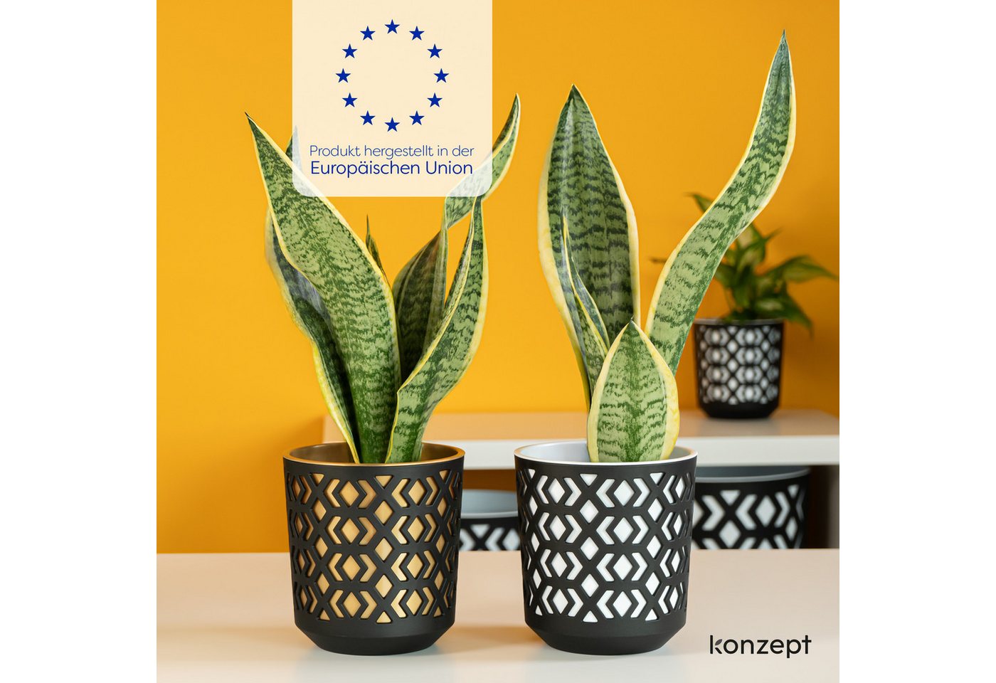 KONZEPT Blumentopf Übertopf Ø 14cm, 3er Pflanzentopf Set für Zimmerpflanzen aus Plastik (1 St), ideal für Zimmerpflanzen, Orchideen, Kräuter und Sukkulenten – Bild 4 von 5