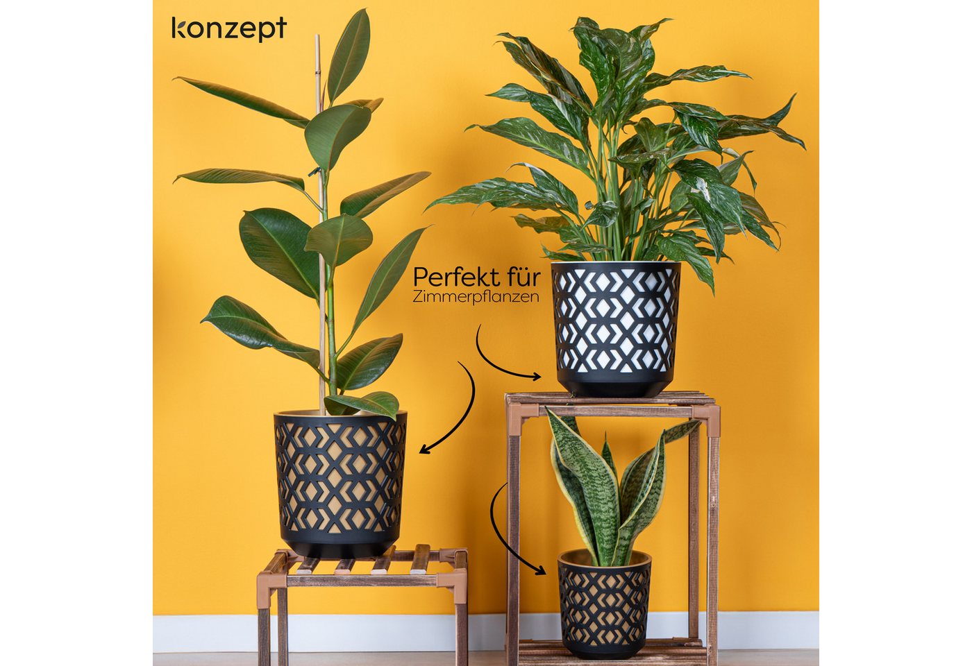 KONZEPT Blumentopf Übertopf Ø 14cm, 3er Pflanzentopf Set für Zimmerpflanzen aus Plastik (1 St), ideal für Zimmerpflanzen, Orchideen, Kräuter und Sukkulenten – Bild 3 von 5