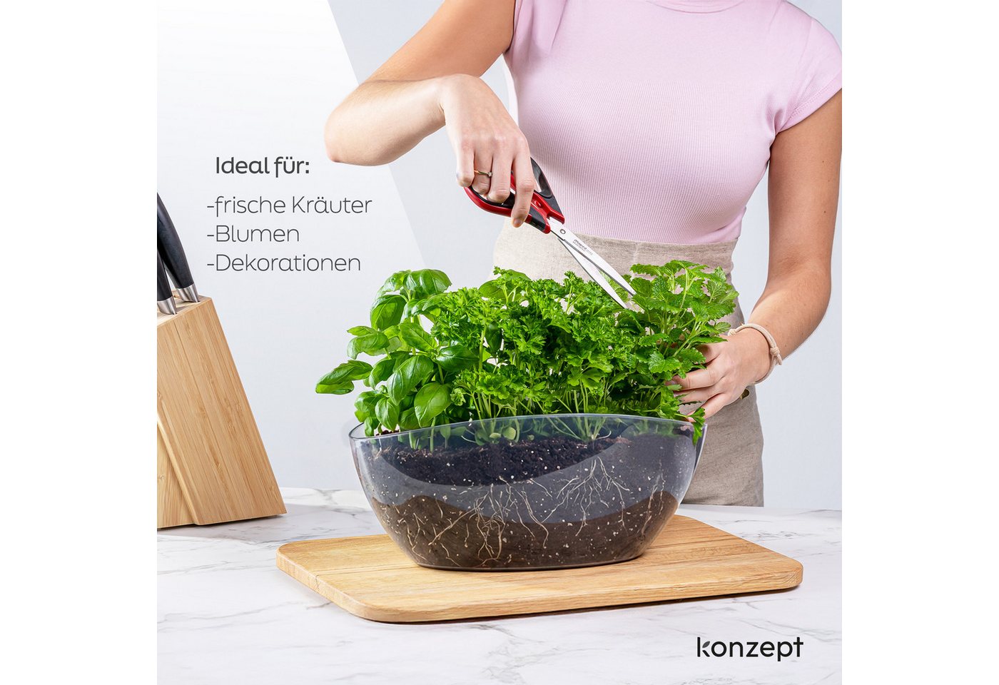 KONZEPT Übertopf für Orchideen, mit elegantem Design, Ovale Form, für schmale Fensterbänke und 2 Töpfe bis Ø 12 cm – Bild 2 von 5
