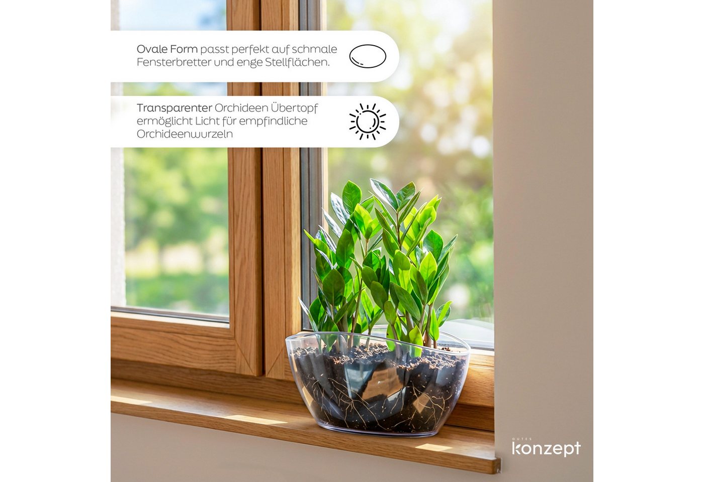 KONZEPT Übertopf für Orchideen, mit elegantem Design, Ovale Form, für schmale Fensterbänke und 2 Töpfe bis Ø 12 cm – Bild 5 von 5