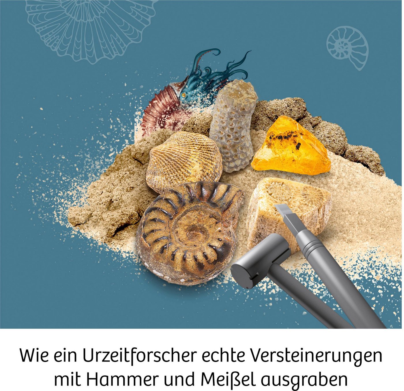 Kosmos Experimentierkasten Fossilien – Bild 2 von 5