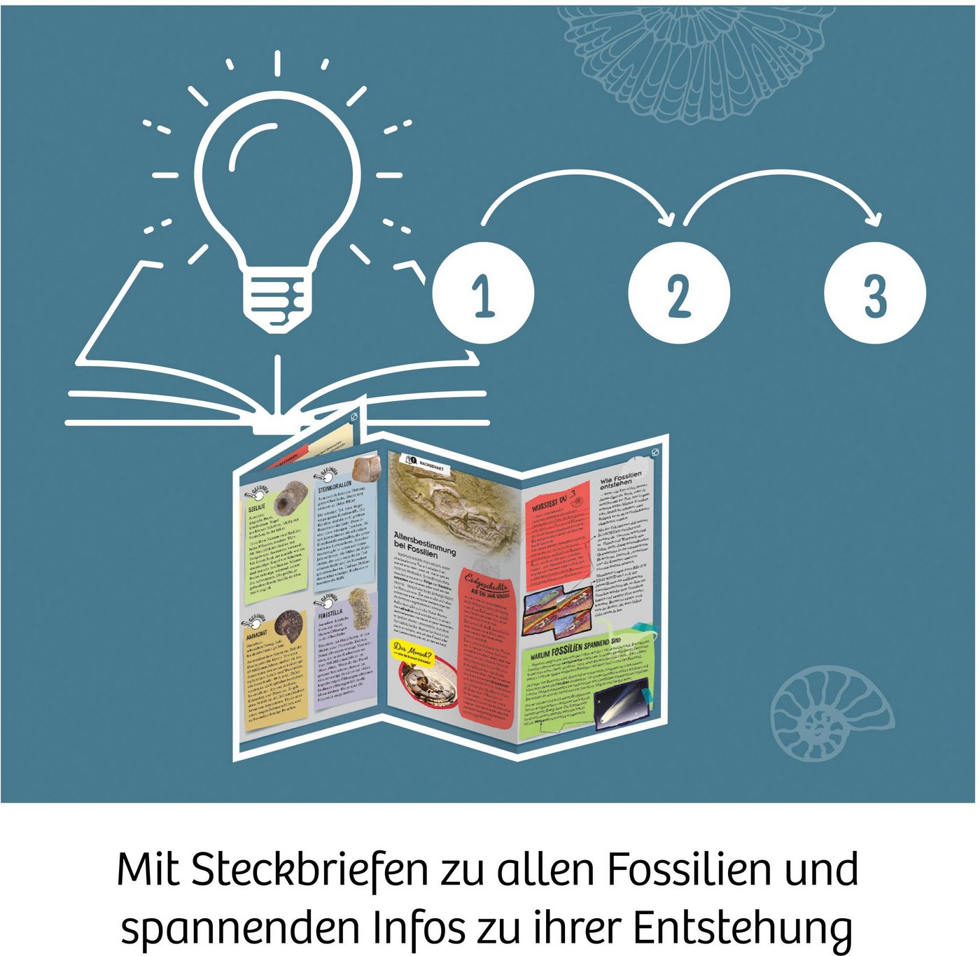 Kosmos Experimentierkasten Fossilien – Bild 4 von 5