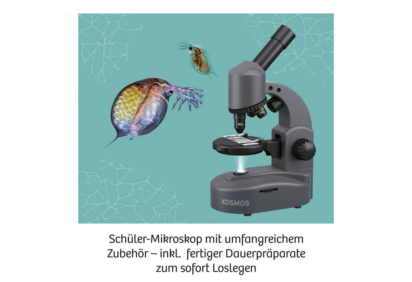 Kosmos Experimentierkasten Mikroskop – Bild 3 von 5