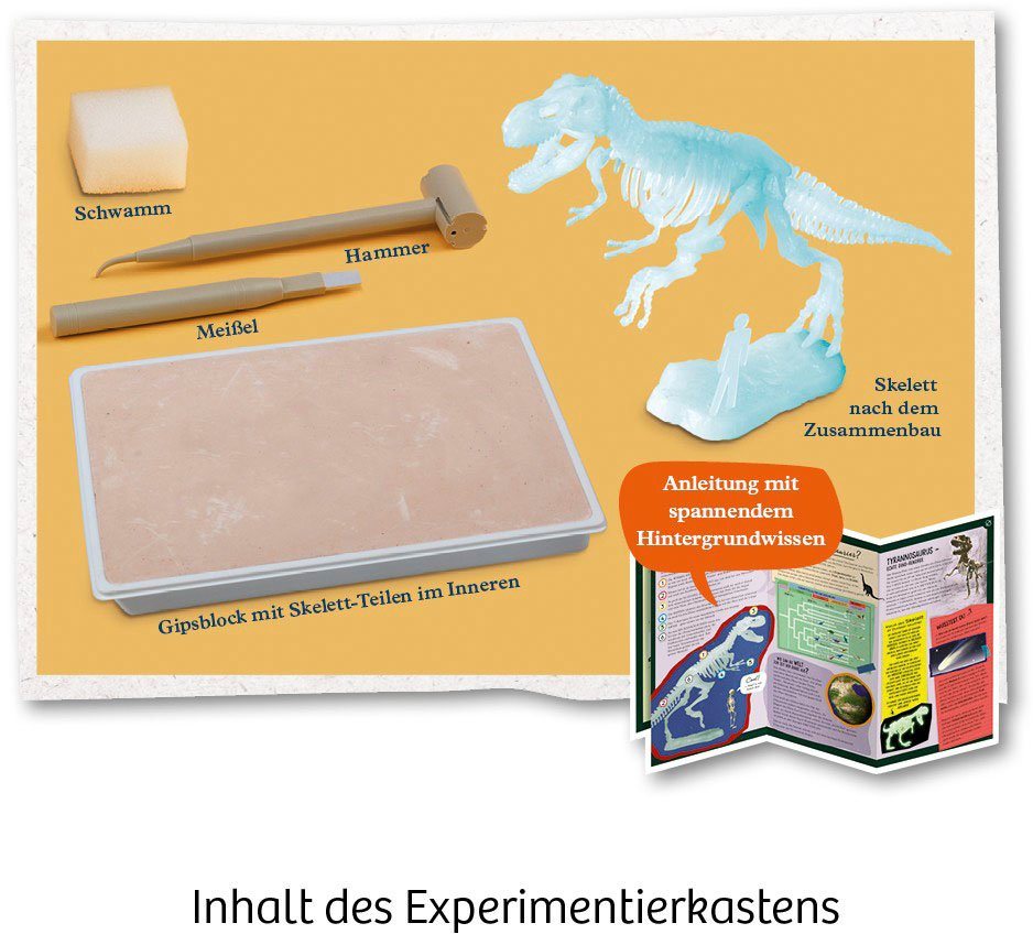 Kosmos Experimentierkasten Nachtleuchtender T-REX – Bild 3 von 5