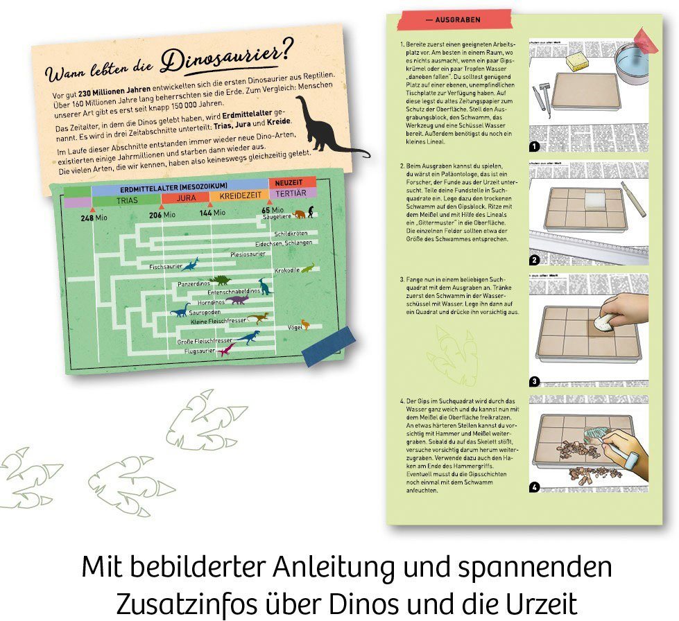 Kosmos Experimentierkasten Nachtleuchtender T-REX – Bild 4 von 5