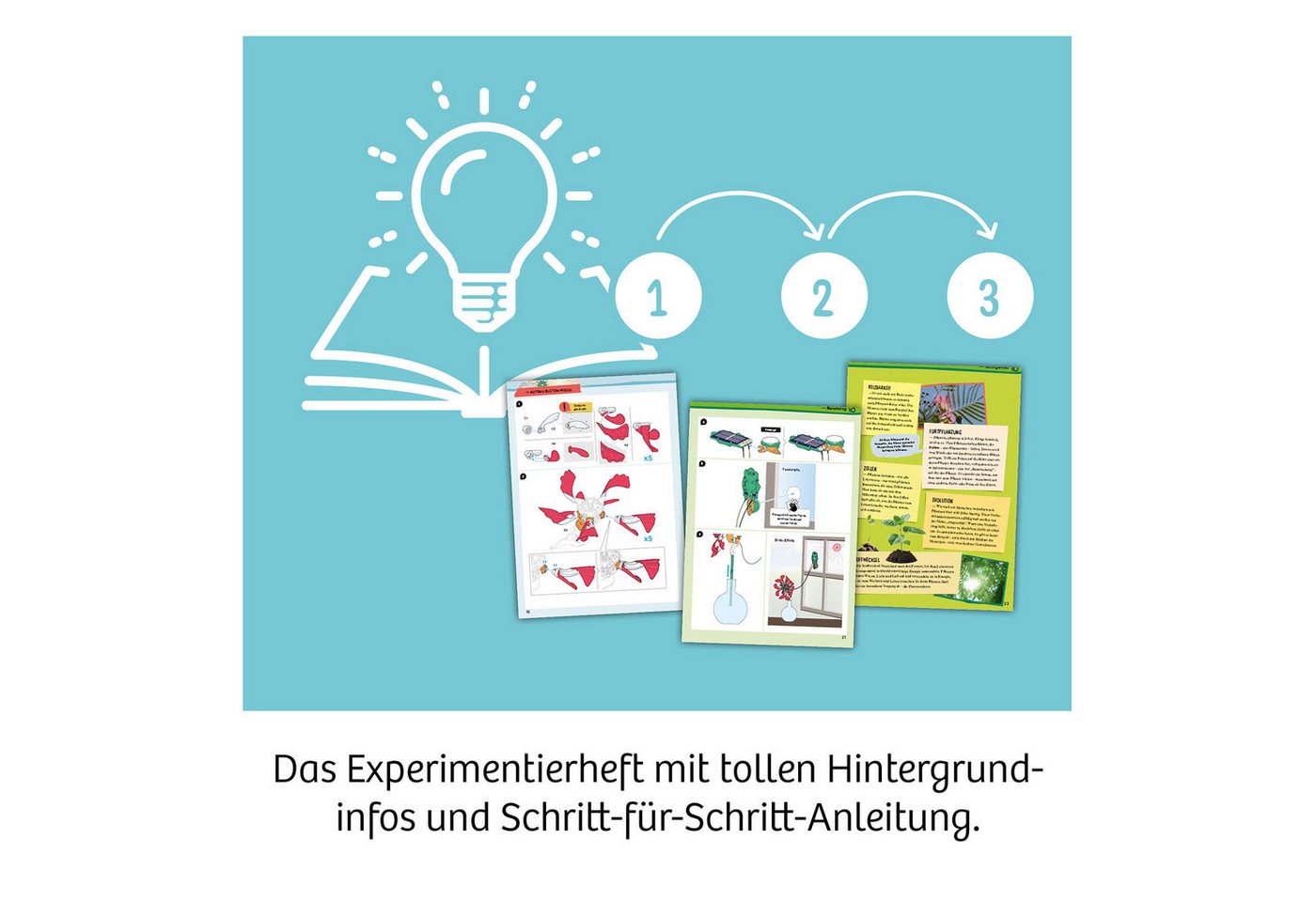 Kosmos Experimentierkasten Solar-Flower – Bild 2 von 5