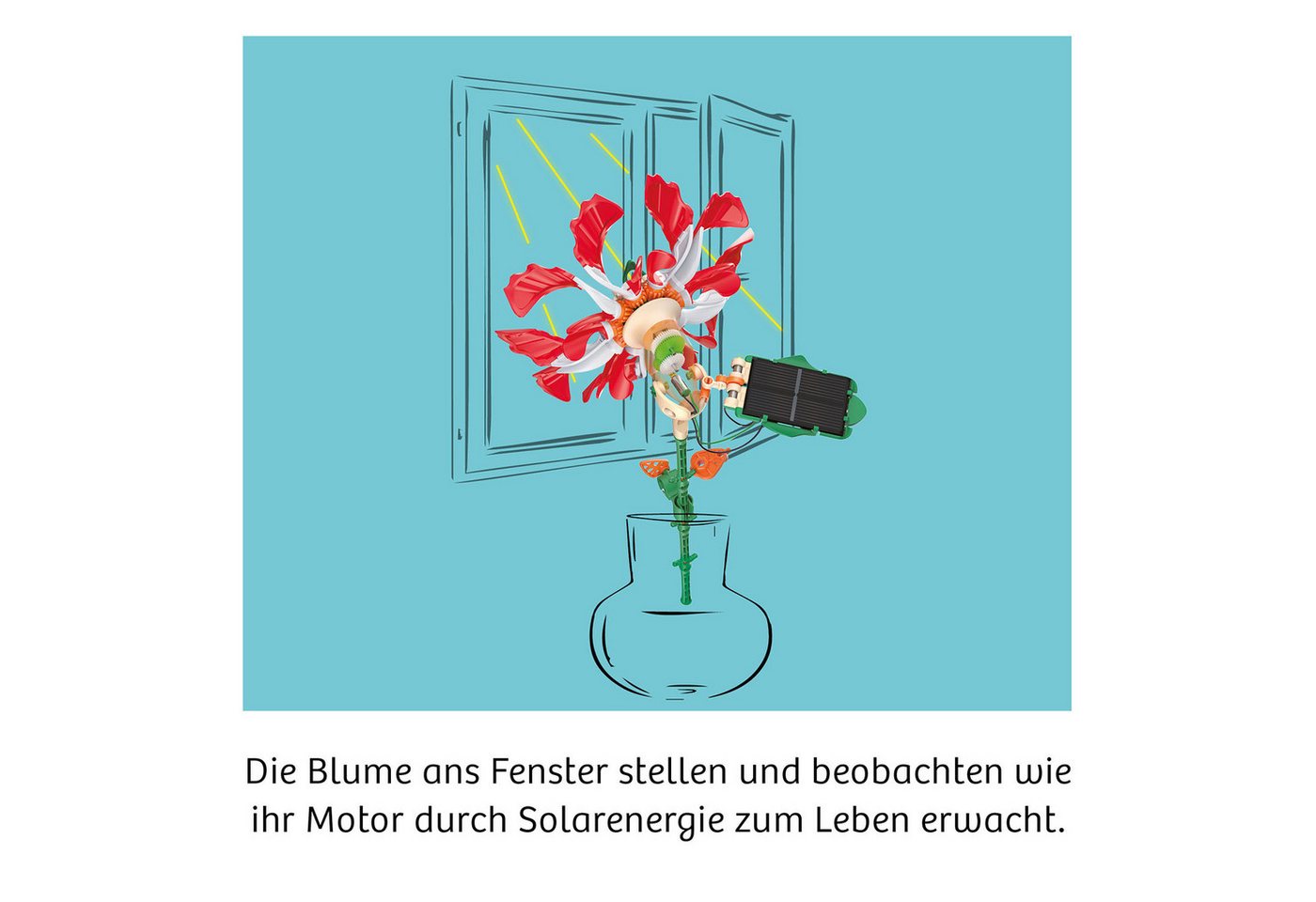 Kosmos Experimentierkasten Solar-Flower – Bild 3 von 5