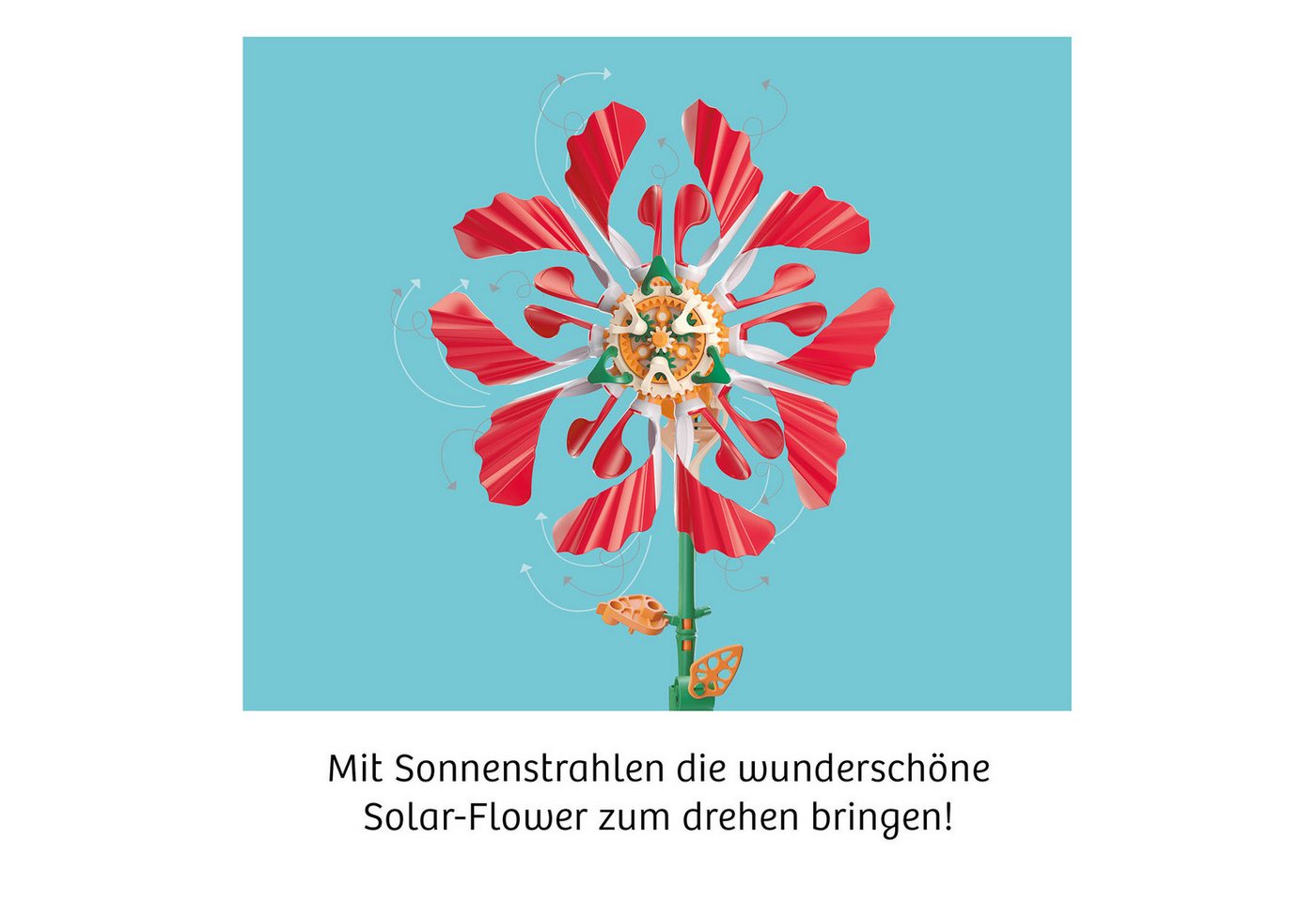 Kosmos Experimentierkasten Solar-Flower – Bild 5 von 5