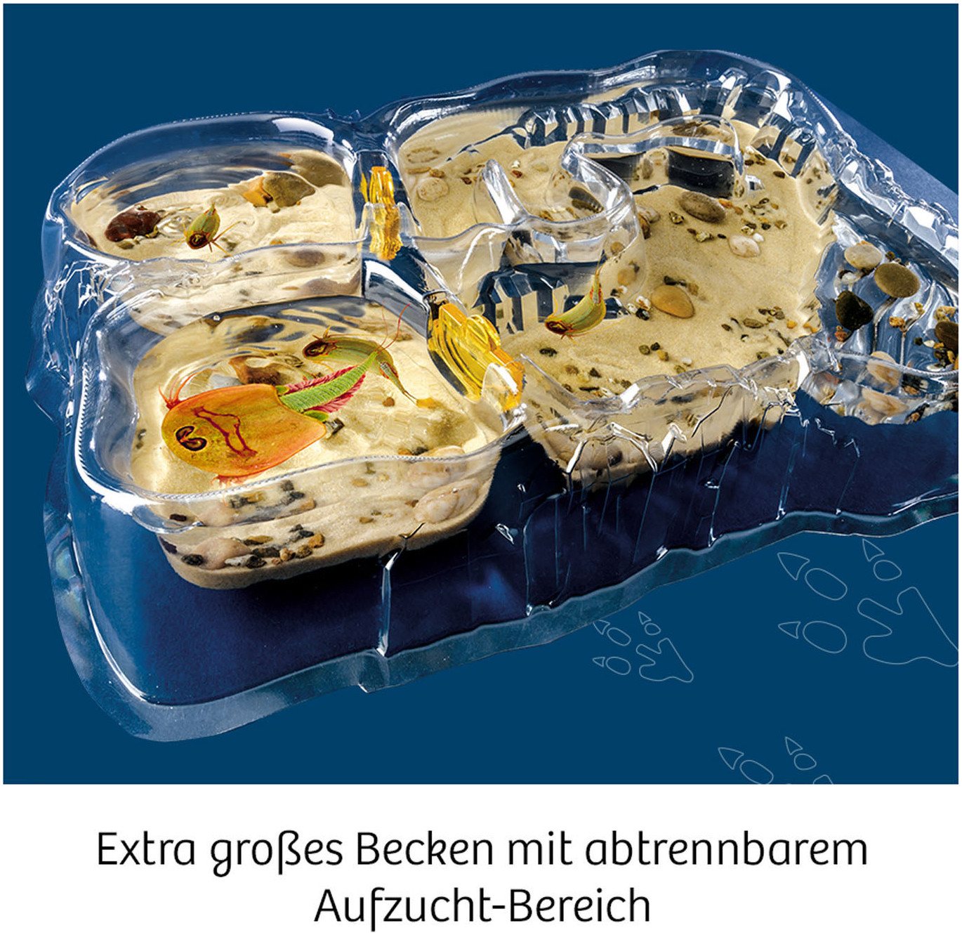 Kosmos Experimentierkasten Triops-Welt, Made in Germany – Bild 3 von 5
